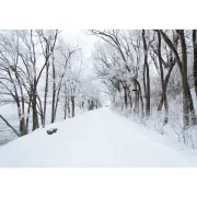 5x7FT Vinyl Winter Snow Road River Side Photography Backdrop Background Studio Prop