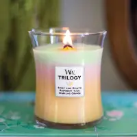 在飛比找蝦皮購物優惠-【蠟燭森林】Woodwick Candle〈現貨〉三色漸層 