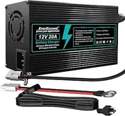 EverExceed Lifepo4 AC-DC Lithium Charger 12V 20A 14.6V Battery Charger Lifepo4 20A for Lifepo4 Lithium Deep Cycle Battery from Car Marine RV