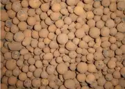 High Top Quality Hydroponic Expanded Clay Balls 15L Bag Pebbles Pellets