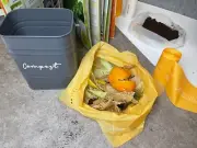 100% Compostable Bin Liner Garbage bags, 8L Eco-Friendly biodegradable 30 Bags