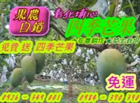 在飛比找Yahoo!奇摩拍賣優惠-(( 免費 送 2斤  四季芒果))  金蜜芒果 B級  “