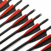 6/12Pcs 30" Fiberglass Arrows Archery SP500 8mm For Outdoor Target Shoot Hunting