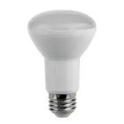 R80 LED Globe ES 10W 240V Frosted Plastic 3000K - R80L1B