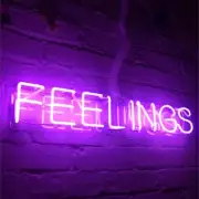 Feelings Purple Acrylic 20"x5" Neon Lamp Sign Light With DImmer