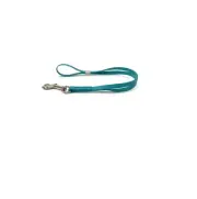 Biothane Grooming Loop for Dog Waterproof 3/8" x 21" - Teal
