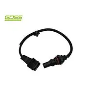 RAE Crankshaft Position Sensor - SC206