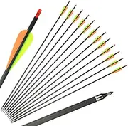 12 Pack Archery 31'' Carbon Fiber Shaft Arrows for Compound Bow and Recurve Bow 400 Spine Arrows with Screw in Field Points Adjustable Nocks
