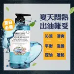 AUS LIFE 澳思萊 咖啡因健髮洗髮精 咖啡因薄荷舒涼洗髮精  咖啡因洗髮精 頭皮屑掉髮 550ML