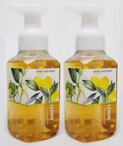 2 Bath & Body Works LEMON CUCUMBER Gentle Foaming Hand Soap Wash