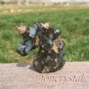 2" Natural Llanite Unicorn Carved Quartz Crystal Skull Reiki Healing Gift 1pc