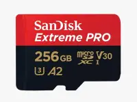 在飛比找Yahoo!奇摩拍賣優惠-SanDisk 256GB 256G MicroSD Ext