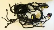 Pleasurecraft Engine Wire Harness PLC 121112A 6.2LSA Airboat HRNS Rev K 8106286