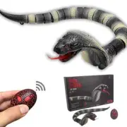 Infrared Remote Control Animal Cobra Insect Cockroach Caterpillar Dog Pet Toy