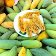 BANANA PASSIONFRUIT - 20 SEEDS (Passiflora Tripartita Var. mollissima) Organic
