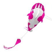 3D Huge Frameless Soft Parafoil Whale Flying C2D5