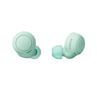 3C精選【史代新文具】SONY WF-C500 真無線藍芽耳機 (四色可選)