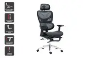 Ergolux EZ11 Ergonomic Office Chair with Dynamic Lumbar Support and Footrest (Black)