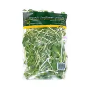 Organic Energetic Sunflower Sprouts - Fresh, Healthy Organic Delivery | Doorstep Organics