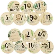 Monthly Baby Milestone Cards Wooden Milestone Discs, 7Pcs Double Sided Wooden Baby Monthly Milestone Cards, Baby Monthly Milestone Cards Sign Wooden Monthly Milestone Cards Baby Milestone Cards Discs