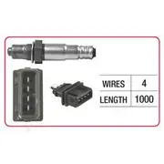 RAE Oxygen Sensor - OX634
