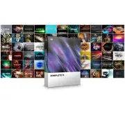 Native Instruments Komplete 13 Software Virtual Instrument Bundle