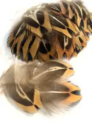 25pcs Natural Petite 3-4cm Real Pheasant Plumage Feathers DIY Art Craft Jewelery