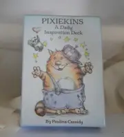 Pixiekins by Paula Cassidy **Brand New & Sealed**