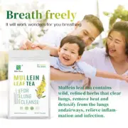 Mullein Tea Bags For Lung Cleanse Herbal Leaf of Flowers Detox Enhance Immunity