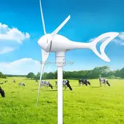 1500 W Watt 12 V DC 3 Blades Wind Turbine Generator System