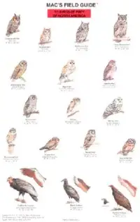 在飛比找博客來優惠-Mac’s Field Guide to Birds of 