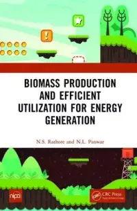 在飛比找博客來優惠-Biomass Production and Efficie