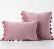 Pack of 2 Velvet Soft Solid Decorative Throw Pillows with Tassels Fringe Boho Accent Cushion for Couch Sofa Bed, Pink Purple