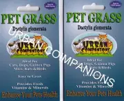 2 x CAT GRASS / PET GRASS Packets with Approx. 12,000 seeds - Dactylis glomerata