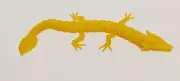 Flexi Leaf Dragon Fidget Toy - 3D Printed