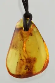 FUNGUS GNAT Genuine BALTIC AMBER Adjustable Leather Pendant 13.5g 250116-4