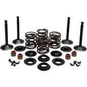 Kibblewhite Complete Black Diamond Engine Valve Kit Harley ELF V Twin 52