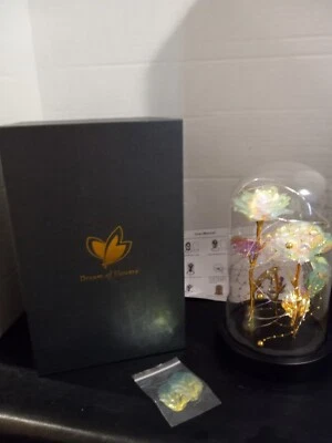 Dream of Flowers 3 Colorful Rose Christmas Flower in Glass Dome LED lights Up
