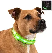 Blazin' Safety Led Dog Collar USB Rechargeable with Water Resistant Flashing Light, Medium, Green