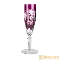 在飛比找PChome24h購物優惠-【Nachtmann】葡萄香檳杯(紫色)170ml-Trau