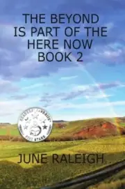 Raleigh - Beyond is Part of the Here Now Book 2 - New paperback or sof - L555z
