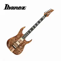 在飛比找PChome24h購物優惠-Ibanez RGT1220PB ABS 電吉他 復古棕