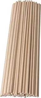 BQLZR 30.5cm Length 5mm Dia Round Birch Wood Sticks Wooden Dowel Rods for Lollies Craft Building Architectural Model Pack of 50