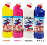 在飛比找Yahoo!奇摩拍賣優惠-【Domestos】多霸道馬桶潔廁劑750ml【SDD水噹噹