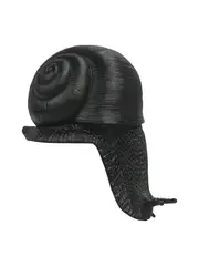 White Moose Snail in Black