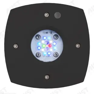 AquaIllumination AI Prime 16 HD Reef LED 珊瑚燈