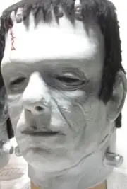 Fun Fur Glenn Strange Frankenstein Head Latex Monster Halloween Costume House