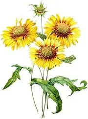 DOTUIARG 40cm(15.75 Inch) Sunflower Bouquet Hand-Painted Flower Sticker for Kid's Bedroom Toilet Frige Decal Removable Decor Decals