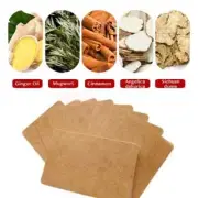 100Pcs Herbal Ginger Patch Body Detox Neck Knee Pad Pain Relief Health Care+