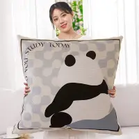 在飛比找蝦皮購物優惠-熊貓抱枕套 70x70 60x60 大枕套 客廳沙發抱枕套 